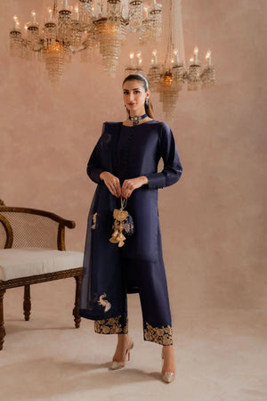 ADHARA - 3 Piece Pure Raw Silk Feyre