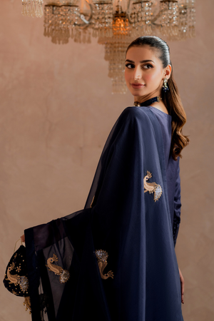 ADHARA - 3 Piece Raw Silk
