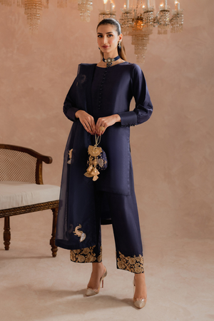 ADHARA - 3 Piece Raw Silk