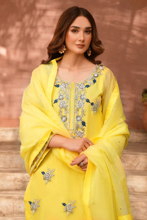 Nureh - 3 Piece Pure Organza - Feyre