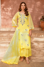 Nureh - 3 Piece Pure Organza